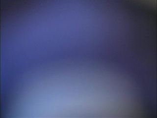 Black Beauty Addicted to BBC