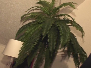 She Is a French BBW Who Likes to Get Fucked